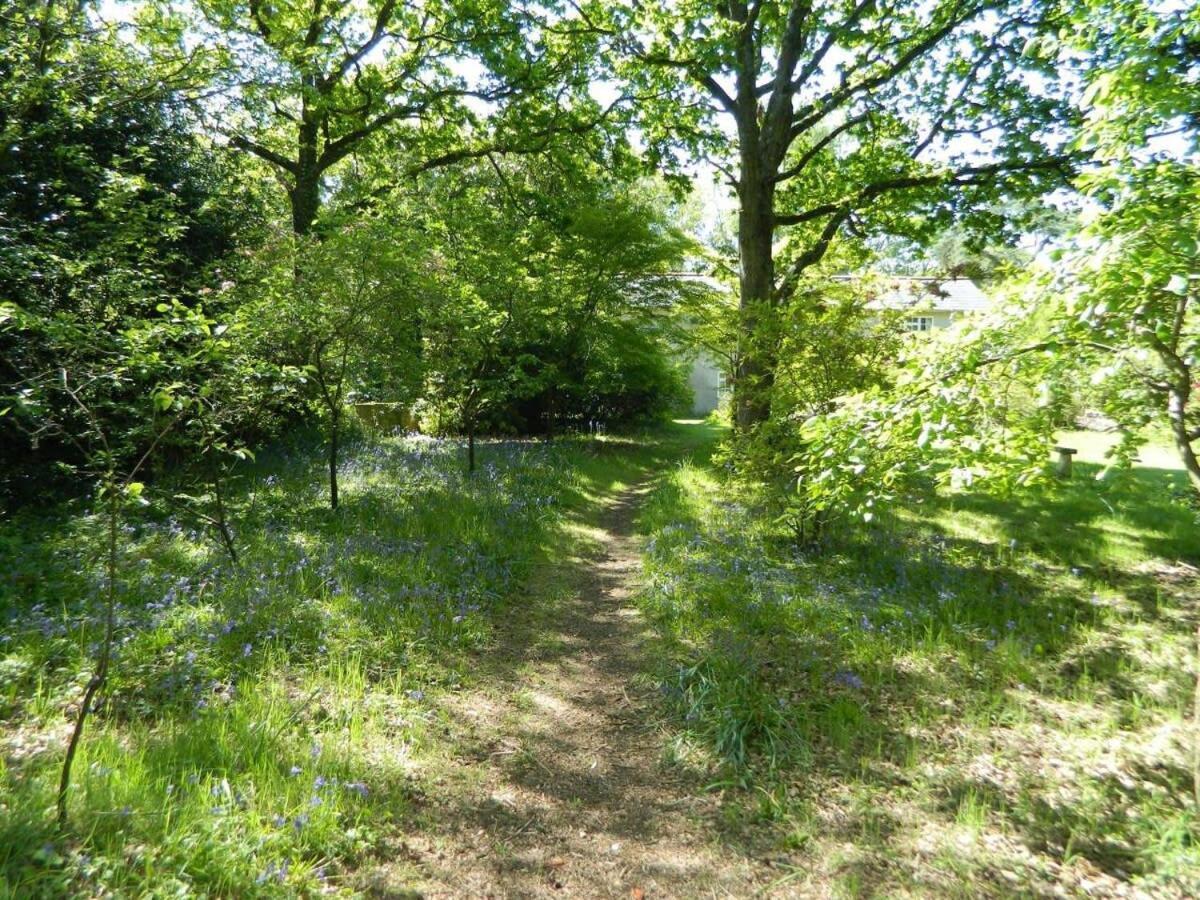 River Cottage A Country Retreat In Wooded Gardens East Stoke  Екстер'єр фото