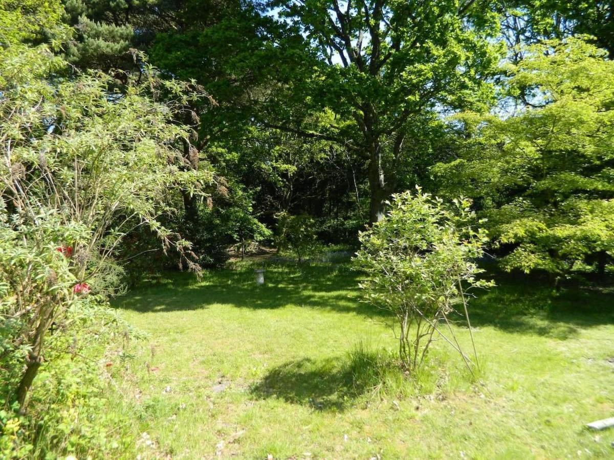 River Cottage A Country Retreat In Wooded Gardens East Stoke  Екстер'єр фото
