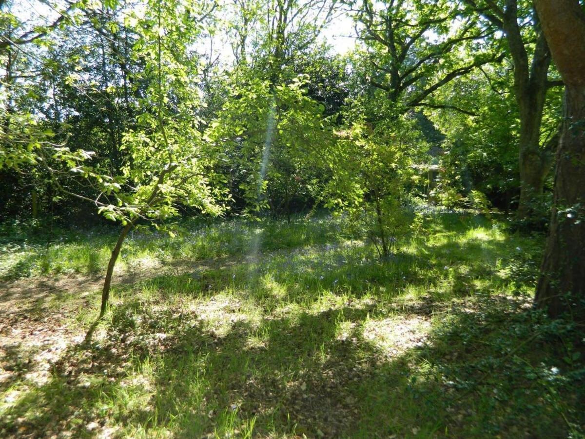 River Cottage A Country Retreat In Wooded Gardens East Stoke  Екстер'єр фото